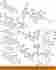 14620rmx000 Honda Oem 06-11 Civic-rocker Kit
