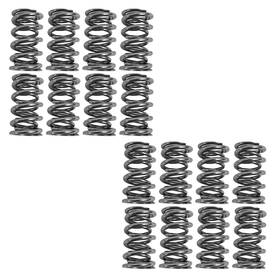 Sk001 Brian Tooley Racing Sk001/s/6560/bb S 6560 Bb Valve Spring Kit