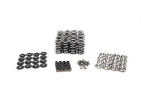 Sk001 Brian Tooley Racing Sk001/t/2060/bb T 2060 Bb Valve Spring Kit Platinum Dual