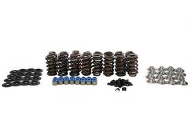 Sk004 Brian Tooley Racing Sk004/t/6560 T 6560 Valve Spring Kit Platinum Dual Standard