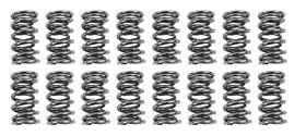 Sk007 Brian Tooley Racing Sk007/0560/bb Btr Platinum Valve Spring Kits