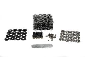 Sk007 Brian Tooley Racing Sk007/6560/bb 6560 Bb Valve Spring Kit Platinum Dual Standardni