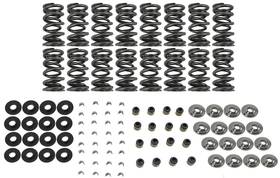 Sk702 Brian Tooley Racing Sk702/0560/bb Btr Platinum Valve Spring Kits