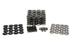 Sk702 Brian Tooley Racing Sk702/6560/bb 6560 Bb Valve Spring Kit Platinum Dual Standardni
