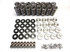 Sk001-s-0560-bb Btr Brian Tooley Racing Dual Spring Kit Lift Ls Engines