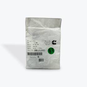 3910260 Cummins New Genuine O Ring Seal Quantity Of 6