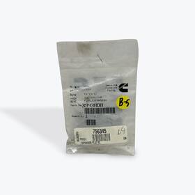 3943808 Cummins New Genuine Plug Expansion