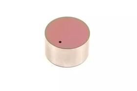 Gm 19317160 Genuine Engine Hydraulic Valve Adjuster/valve Lifter