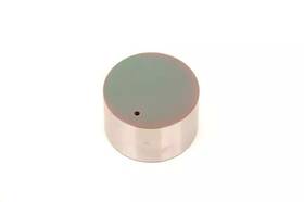 Gm 19317164 Genuine Engine Hydraulic Valve Adjuster/valve Lifter