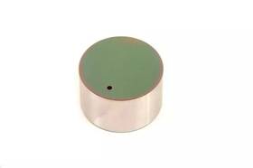 Gm 19317165 Genuine Engine Hydraulic Valve Adjuster/valve Lifter