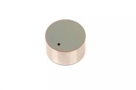 Gm 19317168 Genuine Engine Hydraulic Valve Adjuster/valve Lifter