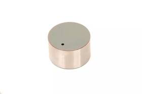 Gm 19317171 Genuine Engine Hydraulic Valve Adjuster/valve Lifter