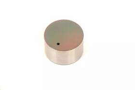 19317173 Gm Genuine Engine Hydraulic Valve Adjuster/valve Lifter