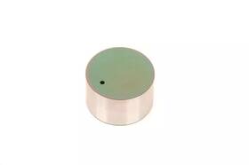 Gm 19317184 Genuine Engine Hydraulic Valve Adjuster/valve Lifter