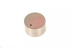 19318198 Gm Genuine Engine Hydraulic Valve Adjuster/valve Lifter