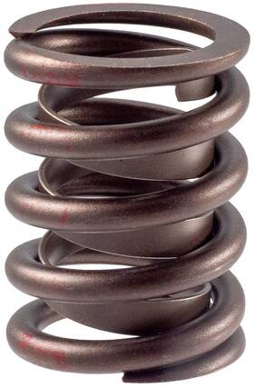 Vs-1120 Melling Valve Spring Vs1120