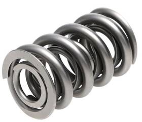 Pac-1326-16 Pac Racing Springs 1300 Series Valve Spring