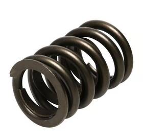Pac-1900-16 Pac Racing Springs Hot Rod Series Valve Spring