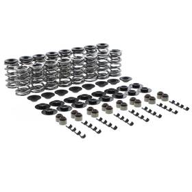 Tfs-2500286p Trickflow Trick Flow Double Platinum .660 Ls Dual Valve Spring And Retainer Kits Tfs-2500