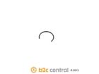 W0133-1662068-oes W0133-1662068 Central Genuine Rocker Shaft Spring Clip Fits Bmw Fbs