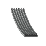 Febi Bilstein Multi V Belt 6PK2100 Fits Mercedes Benz - 29004 Precision. Fixed Price $29.01.
