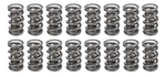 Racing Springs 1.500 Dual Valve (16)- PAC-1356-16. Fixed Price $649.47.