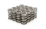 Pac Springs 1204X 1.290 Dual Valve - Rpm Series (16). Fixed Price $397.96.
