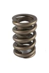 Racing Springs PAC-1343-16 Circle Track 1300 Series Valve 1.550 Dual. Fixed Price $592.20.