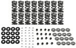 Brian Tooley Racing SK702 560 Bb Valve Spring Kit Platinum Dual Standardni. Fixed Price $549.99.