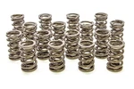 Racing Springs 1.550 Dual Valve (16) PAC-1245-16. Fixed Price $396.77.