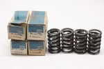 Lot Of Nos 1971-75 Chevrolet Vega Astre 140 Engine Valve Springs Gm 3980278. Fixed Price $32.95.
