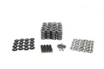 Brian Tooley Racing SK006 6560 Bb Valve Spring Kit Platinum Dual Standardni. Fixed Price $369.99.