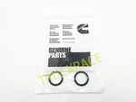 Pcs Ring Seal-turbo Drain For 2003-2018 Dodge Ram Cummins 5.9L 6.7L 3928624. Fixed Price $9.49.