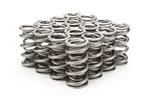 Racing Springs 1.500 Dual Valve (16) PAC-1357-16. Fixed Price $615.12.