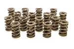 Racing Springs 1.550 Dual Valve (16) PAC-1239-16. Fixed Price $433.49.