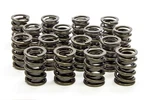Isky 1.550IN Valve Springs. Fixed Price $387.45.