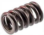 1972-1977 Small Block Chevrolet Engine Exhaust Valve Spring With Damper 6263796. Fixed Price $14.93.