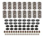 Cam Motion VSK142803 Ls Dual Valve Spring Kit Up To .660IN Lift. Fixed Price $316.67.