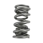 Brian Tooley Racing SK004 6560 Valve Spring Kit Platinum Dual Standard. Fixed Price $619.99.