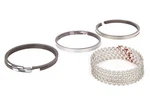 Federal Mogul R978835 Rings Chev 454. Fixed Price $158.25.