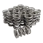 Comp Cams 26943-16 Dual Valve Spring 1.560 Od, 1.900 Ih .740 Lift, 550 Lbs/in.. Fixed Price $586.91.
