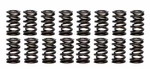 Racing Springs 1.260 Dual Valve (16) PAC-1203-16. Fixed Price $266.20.