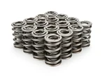 Racing Springs 1.550 Dual Valve (16) PAC-1325-16. Fixed Price $589.49.