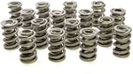 Racing Springs 1.550 Dual Valve (16) PAC-1326-16. Fixed Price $608.15.