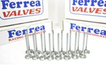 Ferrea 6000 Series Std Valves Honda H22A4 Dohc Vtec Prelude Accord 2.2. Fixed Price $339.00.