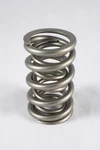 Springs PAC-1396-16 Valve 1300 Series Dual 1.574 In. O.d. 538. Fixed Price $592.20.
