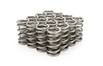 Racing Springs 1.290 Dual Valve Rpm Series (16) PAC-1204X-16. Fixed Price $414.37.