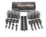Brian Tooley Racing SK001/S/0545/BB Platinum Dual Springs .660IN Lift. Fixed Price $353.64.