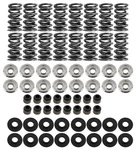 Brian Tooley Racing SK001/S/0560/BB Platinum Dual Spring Kit Steel Retainer. Fixed Price $341.23.