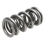 Racing 1300 Series Valve Springs PAC-1357-16. Fixed Price $592.20.